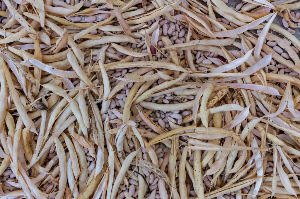 扬州瑞可汽车销售服务：新车交付前检测流程与质量标准解析